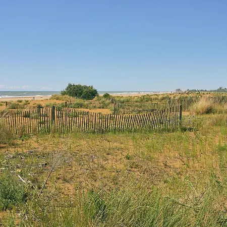 Charming In The Center Of *