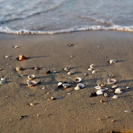 Charming In The Center Of شقة