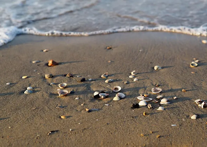 Charming In The Center Of Апартаменти